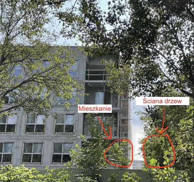 Screenshot 2021-09-05 at 11.30.15.jpg